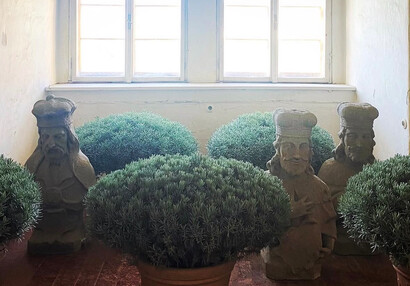 Busty ve Velké tabulnici 